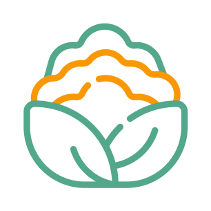 Nutri Icon 2