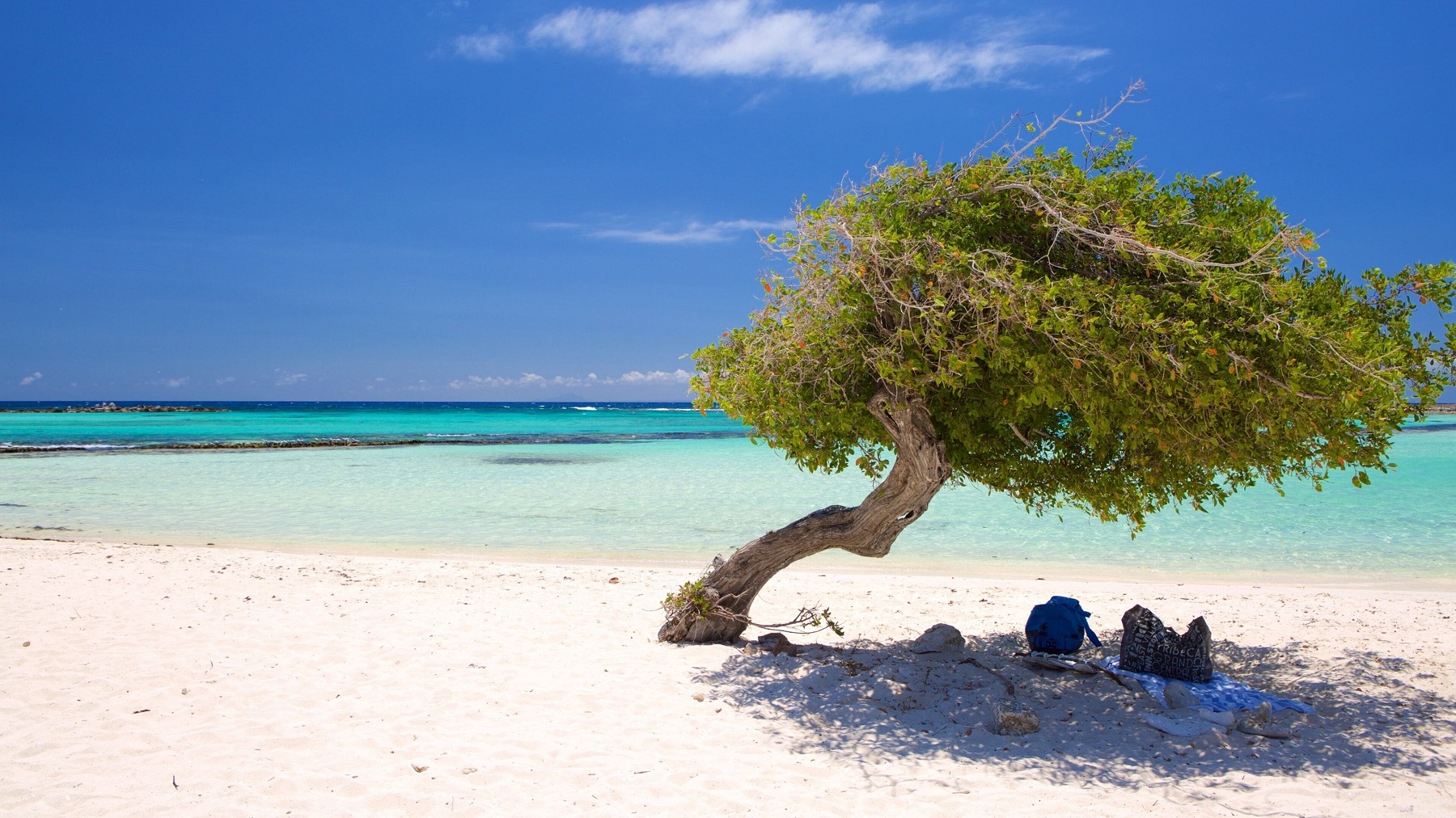 Aruba: A Ilha Feliz